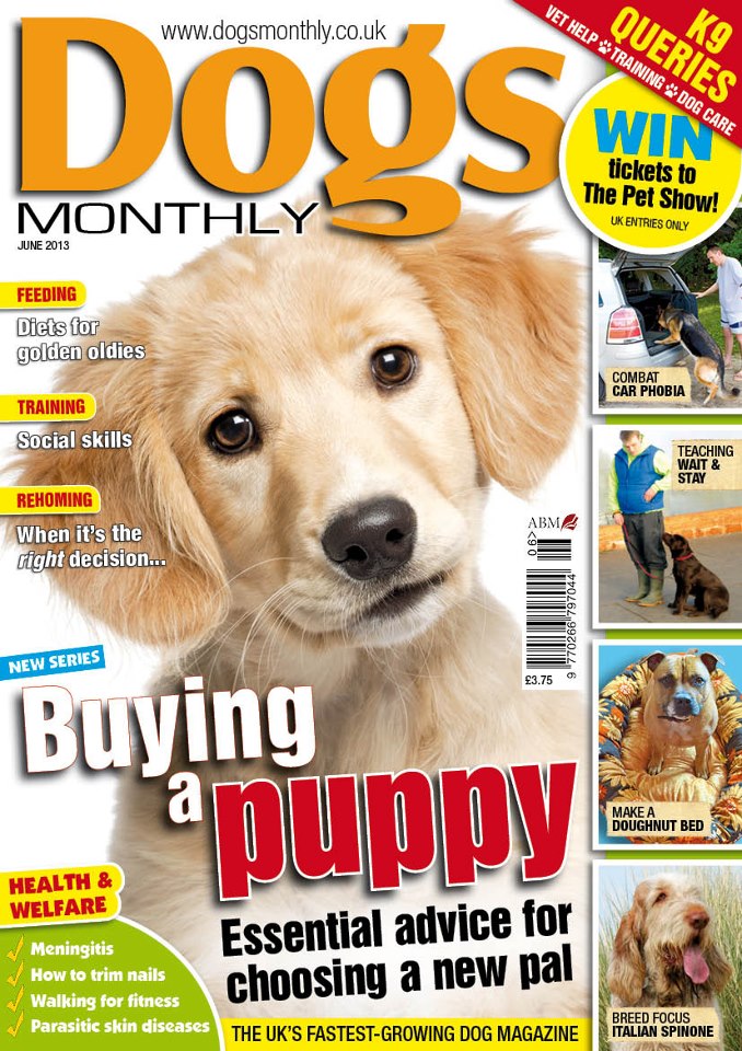 21167_10150310439704978_1163906943_n