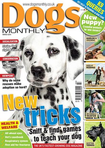 1004966_10150379100409978_2017741575_n