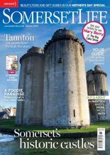 1613789_827297120630171_1730980839_n