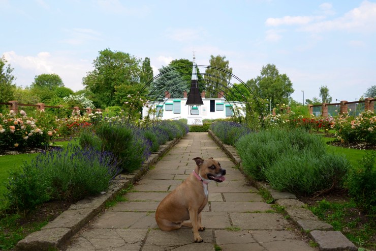 WellandPark4-Favourite