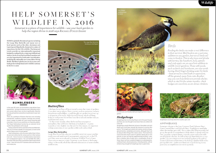 Screen Shot 2016-01-19 at 15.08.42